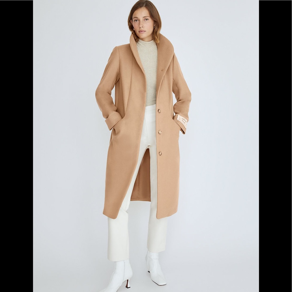 Aritzia cocoon long coat